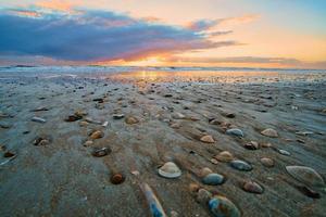 Sunset on the beach in Denmark. Shells in the foreground. Walk on the coast photo
