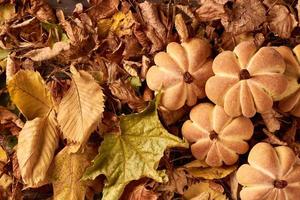 Homemade cookies in shape of pumpkin in autumn leaves. photo