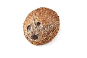 Full coconut isolated on a white background photo