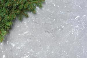 Christmas gray cement background with fir tree and copy space. top view empty space for your design photo