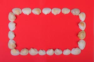 frame made from seashells lying on red background photo