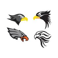 Bird falcon and  logo design, eagle or hawk badge emblem vector icon