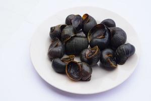 Aquatic gastropod mollusks, freshwater apple snail on dish, isolated on white background. Concept , Edible snails that can be cooked in various delicious menu. Weird food. photo