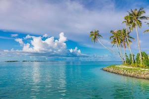 Paradise sunny beach with coco palms and turquoise sea. Summer vacation and tropical beach concept. Breakwater typical waters edge with palm trees and calm sea surface. Miami beach Florida seascape photo