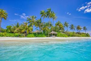 Summer travel background. Exotic tropical beach island, paradise coast. Palm trees white sand, amazing sky ocean lagoon. Fantastic beautiful nature panorama, sunny day idyllic inspirational vacation photo