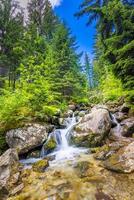 Beautiful close up ecology nature landscape with mountain creek. Abstract long exposure forest stream with pine trees and green foliage background. Autumn tiny waterfall rocks, amazing sunny nature photo