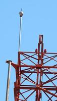 Telecommunication tower closeup . photo