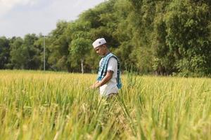 young asian muslim boy in the rice field photo