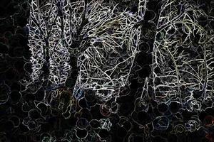 Digital Illustration Abstract Trees Branches Background photo