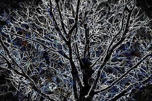 Digital Illustration Abstract Trees Branches Background photo