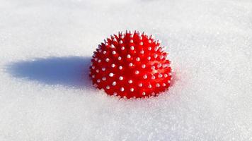 la bola roja con picos en forma de virus de la corona está medio enterrada en la nieve. Pelota para perro o automasaje. lugar para el texto. foto