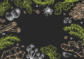Vector copy space linear illustrations with spices and herbs, basil, parsley, coriander, rosemary, cinnamon, chili, pepper, thyme, turmeric, black pepper, ginger, oregano, cumin