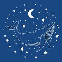 las ballenas se dibujan al estilo del arte lineal. ilustración vectorial sobre un fondo azul. ilustración esotérica con la luna y las estrellas vector