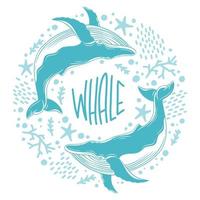 Whales painted in the style of line art. Vector illustration with marine life on a white background. Cetaceans with the inscription - whale