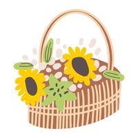 A wicker basket with fresh flowers. Composition of sunflowers in a straw box with a handle vector