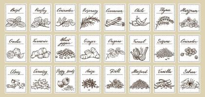 Vector set of stickers for spices. cinnamon, pepper, thyme, turmeric, black pepper, ginger, oregano, cumin, poppy, anise, garlic, dill, mustard, saffron, vanillin, fennell