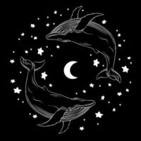 Whales are drawn in the style of linear art. Vector illustration on a black background. esoteric illustration with the moon and stars