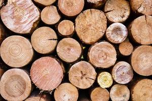 Dry chopped firewood logs stacked up on top of each other in a pile. Textured wooden background. photo