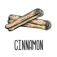 Brown cinnamon sticks. Vector isolated illustration of cinnamon spice on a white background with the inscription