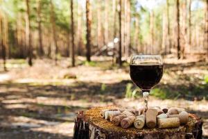 un vaso con vino tinto y corchos de vino en un tocón en un bosque de verano en un día soleado. foto
