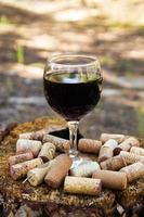 un vaso con vino tinto y corchos de vino en un tocón sobre un fondo de un bosque de verano en un día soleado.