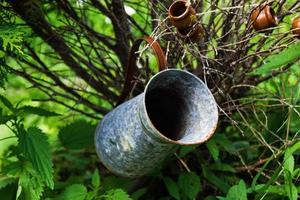 Old tin jar on a brunch in a garden. Russia, Siberia. photo