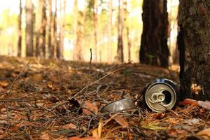 Russia, Siberia. Tin can and glass bottle on a grass in a forest. photo