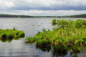 lago gurino, rusia. vista sobre un lago azul con arbusto verde en el tiempo nublado. foto