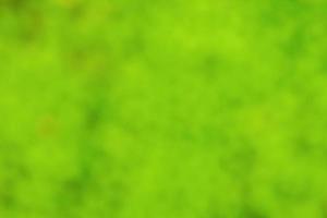 Green blurred abstract background. Summer background. photo