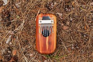 Traditional African musical instrument kalimba on a background of needles and cones in a forest, top view. photo