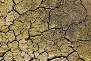 Dry cracked gray-green stony soil, top view. photo