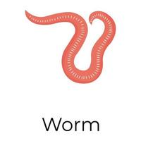 Trendy Worm Concepts vector
