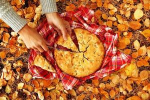 Hands of woman with pieces of apple pie on a red checkered towel and dry yellow autumn leaves, top view. photo