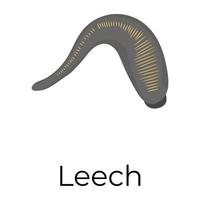 Trendy Leech Concepts vector