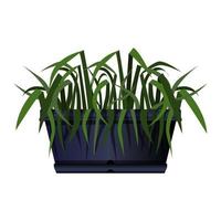 Long black pot of green foliage in realistic style. Flower bed for the window. Colorful vector illustration isolated on white background.