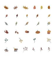 Autumn leaves and berries collection vector illustration