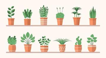 Set of different flat plants in pots on the shelves. Simple vector interior illustration. Isolated floral decorative elements for design, game, concepts