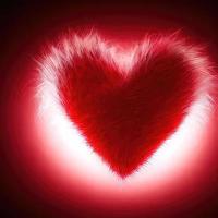 heart shape design in fur fabric with beautiful light render photo