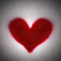 heart shape design in fur fabric with beautiful light render photo