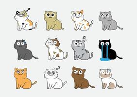 Cartoon cat pack vector