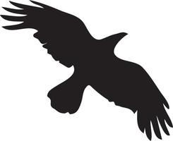 Bird eagle swallow black silhoute vector