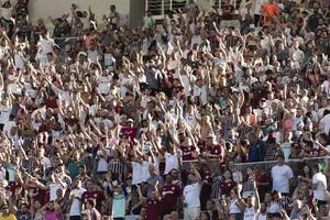 Rio, Brazil, november 02, 2022, fans in match between Fluminense vs Sao paulo by 36th round of Brazilian Championship, A serie in Maracana Stadium photo