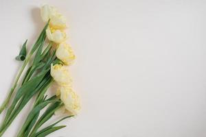 composición de flores. flores de tulipán amarillo sobre un fondo claro. día de san valentín, día de la madre, concepto del día de la mujer. endecha plana, vista superior foto