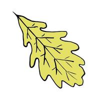 Hand-drawn vector color sketch. Dry yellow oak leaf isolated on white background. For autumn design.