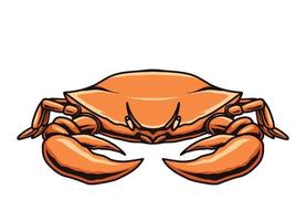 crab vector on white background