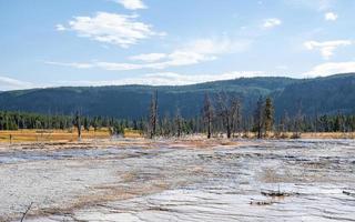 Trees at geothermal landscape against forest with sky in background at park photo