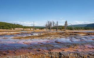 View of dead trees at geothermal landscape with blue sky in background at park photo