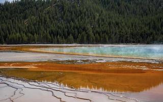 Beautiful Grand Prismatic Spring with trees in background at Yellowstone park photo