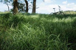 Meadow near the forest, a blurred bike in the background in the grass photo