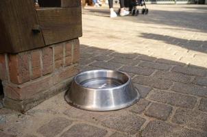 dog bowl of water in a public place for visitors with animals photo